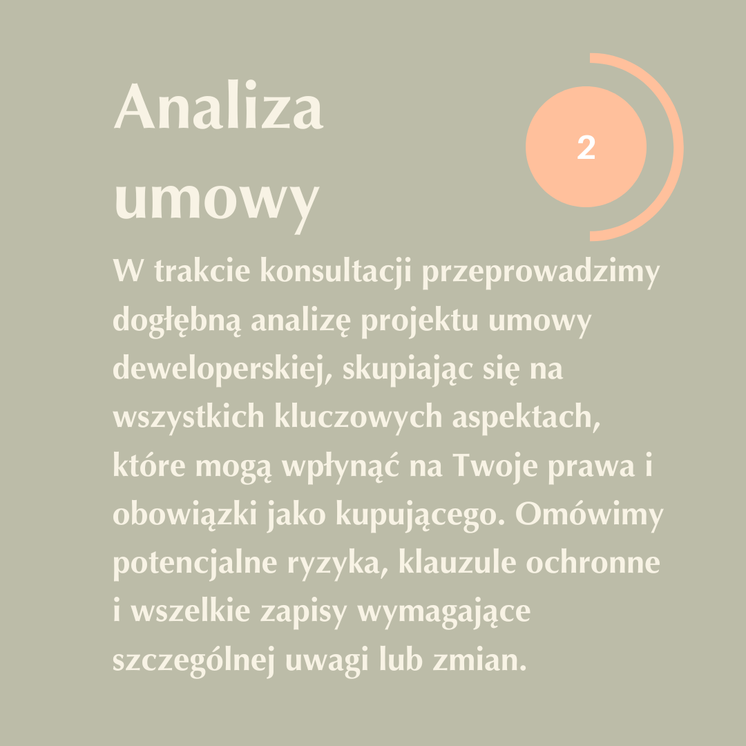 Analysis of the development contract
